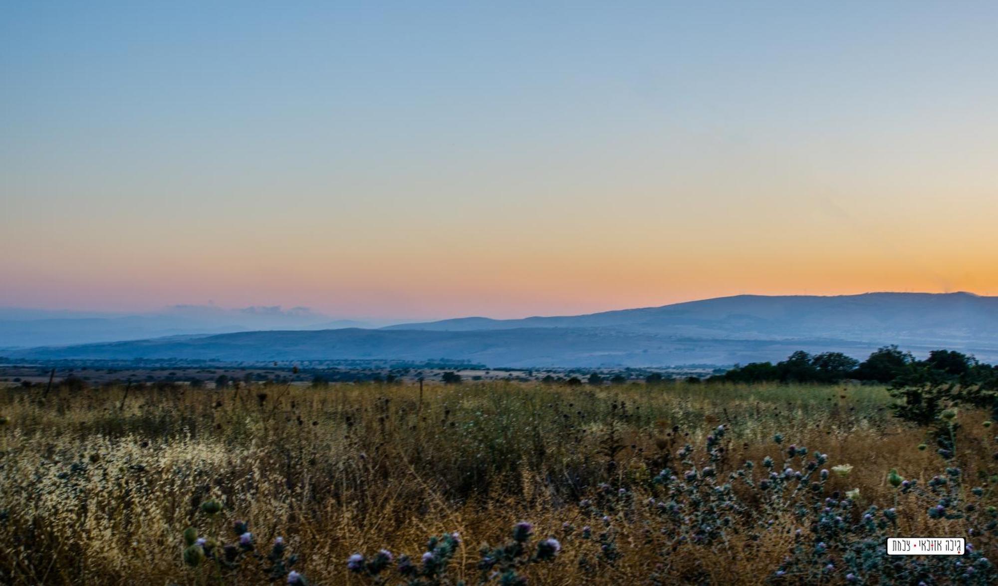 צימרים מעיין קצרין Katzrin Exterior photo